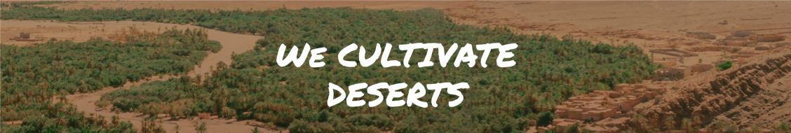 illustration project From Sand To Green