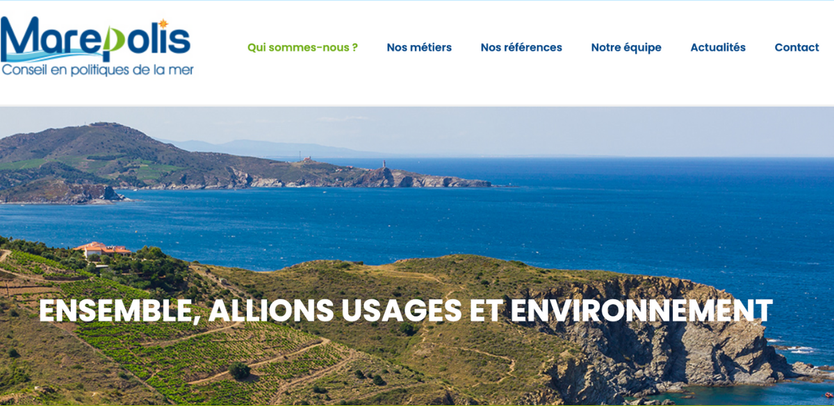 illustration project Marepolis